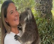 In this heartwarming video, a woman experiences the joy of holding a cute koala in her arms for the first time. Her face lights up with delight as she cuddles the adorable marsupial, showcasing the special bond between humans and animals. The koala, with its fluffy fur and endearing expression, adds to the charm of the moment. It&#39;s a touching example of the wonder and happiness that can come from interacting with nature and experiencing unique encounters with wildlife.&#60;br/&#62;Location: South Australia&#60;br/&#62;WooGlobe Ref : WGA698522&#60;br/&#62;For licensing and to use this video, please email licensing@wooglobe.com