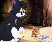 Tom And Jerry - 008 - Fine Feathered Friend (1942) S1940e08