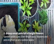 Tips for your garden