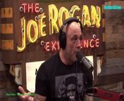 Episode 2118 Kevin James - The Joe Rogan Experience Video&#60;br/&#62;Thank you for watching the video!&#60;br/&#62;Please follow the channel to see more interesting videos!&#60;br/&#62;If you like to Watch Videos like This Follow Me You Can Support Me By Sending cash In Via Paypal&#62;&#62; https://paypal.me/countrylife821