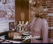 1960s June Lockhart Gravy Train TV commercial.&#60;br/&#62;&#60;br/&#62;PLEASE click on the FOLLOW button - THANK YOU!&#60;br/&#62;&#60;br/&#62;You might enjoy my still photo gallery, which is made up of POP CULTURE images, that I personally created. I receive a token amount of money per 5 second viewing of an individual large photo - Thank you.&#60;br/&#62;Please check it out at CLICK A SNAP . com&#60;br/&#62;https://www.clickasnap.com/profile/TVToyMemories