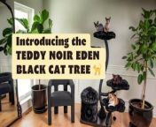 Calling all cat lovers! Are you ready to take your feline friend&#39;s comfort and style to the next level? Introducing Teddy Noir Eden - the ultimate cat tree designed with both you and your beloved furball in mind.&#60;br/&#62;&#60;br/&#62;why settle for ordinary cat furniture when you can indulge your kitty with the extraordinary? Treat yourself and your feline friend to the luxury they deserve with Teddy Noir Eden - the modern cat tree that&#39;s sure to be the envy of every cat lover in town. ✨&#60;br/&#62;*&#60;br/&#62;*&#60;br/&#62;*&#60;br/&#62;*&#60;br/&#62;#CatTree&#60;br/&#62;#ModernCatFurniture&#60;br/&#62;#TeddyNoir&#60;br/&#62;#BlackCatTree&#60;br/&#62;#LuxuryCatFurniture&#60;br/&#62;#FelineComfort&#60;br/&#62;#StylishCatTree&#60;br/&#62;#CatLovers&#60;br/&#62;#CatEnvy&#60;br/&#62;#CatLife&#60;br/&#62;#SpoiledKitty&#60;br/&#62;#CatDecor&#60;br/&#62;#PetFurniture&#60;br/&#62;#HomeDecor&#60;br/&#62;#DesignerCatTree&#60;br/&#62;#UniqueCatTree&#60;br/&#62;#CatCondo&#60;br/&#62;#FurryFriend&#60;br/&#62;#ChicCatFurniture&#60;br/&#62;#PetStyle&#60;br/&#62;#CatAccessories&#60;br/&#62;#CatLove&#60;br/&#62;#ModernPet&#60;br/&#62;#HomeDesign&#60;br/&#62;#IndoorCat&#60;br/&#62;#PetLuxury&#60;br/&#62;#CatLounge&#60;br/&#62;#CatTower&#60;br/&#62;#CatHaven&#60;br/&#62;#CatNap&#60;br/&#62;#Caturday&#60;br/&#62;#CatLife&#60;br/&#62;#HomeSweetHome&#60;br/&#62;#CatComfort&#60;br/&#62;#FelineFurniture&#60;br/&#62;#PetEssentials&#60;br/&#62;#CatParadise&#60;br/&#62;#KittyKingdom&#60;br/&#62;#StylishPets&#60;br/&#62;#PamperedCat