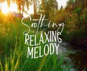 Relaxing Nature Sounds - Calm Atmosphere for Meditation, Stress Relief, Sleep Aid from licking relaxing sucking