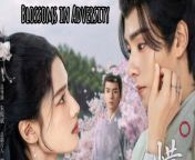 Blossoms in Adversity - Episode 13 (EngSub)