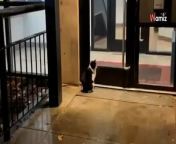 Having spent days sitting outside the entrance of a building in New York, this cat finally got the help he needed. Now his life has changed completely.
