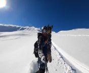This man took his dog out for an adventure down a mountain in the Swiss Alps. As the man snowboarded down the hill, his dog excitedly chased after him. The man even held his furry friend while sliding down, making it an enjoyable experience for both.&#60;br/&#62;&#60;br/&#62;“The underlying music rights are not available for license. For use of the video with the track(s) contained therein, please contact the music publisher(s) or relevant rightsholder(s).”