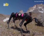Traversing the rugged terrain of Oregon’s Mount Hood, scientists and robotics engineers are testing a quadrupedal robot, named Spirit, with the ultimate goal of sending it to the Moon and Mars to help space exploration efforts gather data more easily. Yair Ben-Dor has more.