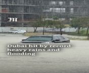 Torrential rain flooded roads and halted operations at Dubai&#39;s airport as storms hit the Gulf on Tuesday. Airport officials have urged passengers to stay away &#39;unless absolutely necessary&#39; on Wednesday morning.