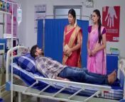 Karthigai Deepam 22\ 4\ 2024------SERIALS IN TAMIL from tamil sun tv serial sex vi