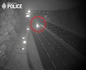 Shocking video shows drink-driving suspected driving on wrong side of M1 near junction 35A near Sheffield. Video: South Yorkshire Police