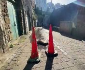 Work will begin tomorrow (April 24) to plug part of Tenby’s leaky harbour!&#60;br/&#62;Water leaks developed around the harbour and on the road surface of Penniless Cove Hill leading down to the car park, around the time the operation took place to lift the boats back into the water almost two weeks ago (April 11).&#60;br/&#62;Welsh Water are due to tackle the matter, with repairs to the harbour estate to take place between Wednesday, April 24 and Friday, April 26.&#60;br/&#62;Works to Penniless Cove Hill will commence evening of Thursday the 25th, with the roadway set to be closed to all traffic while the repair is undertaken.