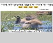 Animal funny video from indian village bath videos rap ga