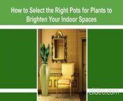 This video details the process of selecting pots for your indoor plants. It covers all the crucial details, from choosing the right size and material to ensure healthy growth to finding the perfect pot that complements your plant and brightens your indoor spaces. &#60;br/&#62;&#60;br/&#62;For more information visit our website now. https://www.sijigreenhouse.com/products/planting-pots/&#60;br/&#62;&#60;br/&#62;&#60;br/&#62;&#60;br/&#62;&#60;br/&#62;&#60;br/&#62;