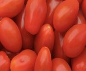 8 Tips for Growing Cherry Tomato Plants That Will Thrive All Season from cherry crace