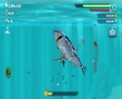 Dive into the thrilling underwater adventure with Baby Sharkinator in Hungry Shark Evolution Gameplay. This video showcases the Hungry Shark Evolution game, the fierce and adorable Baby Sharkinator. Watch as this tiny terror of the deep takes on the vast ocean in Hungry Shark Evolution, munching its way through schools of fish in Hungry Shark Evolution, dodging dangerous obstacles in Hungry Shark Evolution, and growing in power in Hungry Shark Evolution. With its unique abilities and cute yet ferocious appearance, the Baby Sharkinator is sure to capture the hearts of players and viewers alike during Hungry Shark evolution gameplay. Whether you&#39;re a seasoned shark enthusiast or new to the Hungry Shark, this Hungry Shark Evolution gameplay video is packed with action, surprises, and a whole lot of fun.
