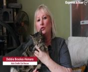Kats Cradle Cat Rescue, Wolverhampton are in desperate need of funds after reaching an £8000 vets bill.