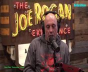 Episode 2143 Tulsi Gabbard - The Joe Rogan Experience Video - Episode latest update