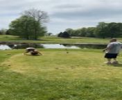 This woman was playing golf for the first time. Her very first swing at the first hole proved to be the most hilarious. Her swing caused her to spin on the spot and almost fall on her head. Her friends burst out laughing at the unexpected sight.