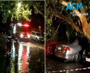Flash flooding in Melbourne has resulted in blocked roads and fallen trees, with at least three cars stuck in floodwaters. Weather warnings remain in place.&#60;br/&#62;