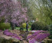 March has been a colourful month in Yorkshire, from Blossoms at Burnby Hall Gardens, to York&#39;s Chocolate Festival. Our team of Yorkshire Post photographers have been out across the patch taking some wonderful photos of lambing at Humble Bee Farm, Filey, artists at the Art House in Wakefield, Donkeys on Palm Sunday at Ripon, silver auctions at Tennents in Leyburn, and the Park Hill Uprise cycle event as part of Sheffield&#39;s Outdoor City.