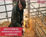 Burnley sheep farmer Neil Worswick has stressed the importance of keeping dogs on leads while out in the countryside to prevent them from worrying sheep at the height of the lambing season