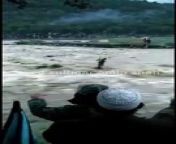 Floods in Pakistan | Flood in Swat | Swat Selabi Railaa | Swat Selab | Saidu  sharif Swat | سوات سیلاب from kalam xxx Watch Video - MyPornVid.fun