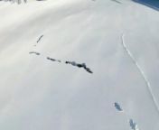 In China&#39;s Xinjiang Region, a captivating drone video captured the extraordinary sight of a wolf pack navigating through thick layers of snow by ingeniously creating a tunnel. Buzz60’s Maria Mercedes Galuppo has the story.