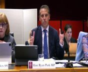 NSW Health Minister Ryan Park answers questions on Albury hospital redevelopment