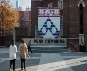 Chair of Penn Engineering’s Department of Computer and Information Science Zachary Ives shares how the department is building its artificial intelligence degree program.