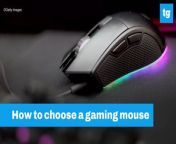 From FPS&#39;s to MMO&#39;s, a proper mouse means everything.