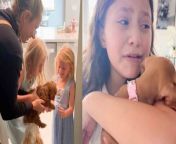 Prepare to be moved by this heartwarming compilation of families giving puppy surprises to their loved ones! Witness the sheer joy and excitement as these unsuspecting individuals are greeted with adorable furry friends. From tears of happiness to ecstatic screams, these unforgettable reactions are guaranteed to melt your heart. Don&#39;t miss out on the best surprise ever moments captured in this incredible video! &#60;br/&#62;&#60;br/&#62;All the content on Heartsome is managed by WooGlobe&#60;br/&#62;&#60;br/&#62;►SUBSCRIBE for more Heart touching Videos: &#60;br/&#62;&#60;br/&#62;-----------------------&#60;br/&#62;Copyright - #wooglobe #heartsome &#60;br/&#62;#heartwarming #puppysurprise #puppysurprise #heartwarmingmoments #bestsurpriseever #familylove #topreactions #adorablepuppies #puppylife #puppies #puppy #familylove #surprisegift #dogsurprise #family