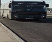 Public bus service launched from Abu Dhabi city to BAPS Hindu temple from dalawang lalaki sa bus