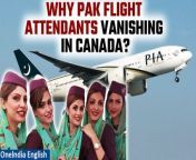Join us as we uncover the startling trend of Pakistan flight attendants disappearing upon landing in Canada. Is it driven by asylum-seeking motives or deeper issues within the airline industry? Stay informed on the latest developments and insights.&#60;br/&#62; &#60;br/&#62;#Pakistan #PakistanNews #Canada #CanadaNews #PakistanCanadaRelations #PakistanFlights #PakFlightAttendants #CabinCrew #Oneindia&#60;br/&#62;~PR.274~ED.103~GR.124~HT.96~