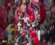 Chivas fan starts fight with América fan after Concacaf Classic loss from amazing fights