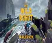 After a shipwreck, an intelligent robot called Roz is stranded on an uninhabited island. To survive the harsh environment, Roz bonds with the island&#39;s animals and cares for an orphaned baby goose.