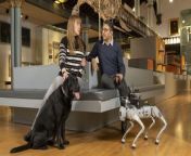 A university has developed a talking robot guide dog to help the blind - powered by sophisticated AI.&#60;br/&#62;&#60;br/&#62;Experts from the University of Glasgow have partnered with leading charities to develop the RoboGuide.&#60;br/&#62;&#60;br/&#62;The four legged robot is designed to help blind people navigate through public spaces independently.&#60;br/&#62;&#60;br/&#62;The prototype uses a series of sensors on the dog-shaped body to map and assess its surroundings, paired with software which enables it to interpret the data and avoid obstacles in real time.