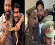 Elvish Yadav&#39;s BIG Revelation after arrest in Snake Venom Case, As per the Reports, Elvish Yadav admits to arranging Snake Venom in Rave. Noida police arrested Elvish Yadav for Snake Venom case and sent him for 14 Days Judicial custody. His Photos and Videos with Police goes Viral all over the internet. Watch Video to Know more &#60;br/&#62; &#60;br/&#62;#ElvishYadav #ElvishYadavArrest #SnakeVenomCase &#60;br/&#62;&#60;br/&#62;~PR.132~ED.140~