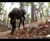 BDI just released a new video of the Big Dog on ice and snow, and also demoing its walking gait. neumatic
