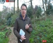 BBC reporter bizarrely details &#39;ripping slugs apart&#39; during live TV interviewSource: BBC News