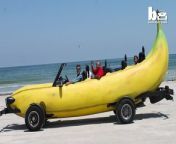 A British inventor has spent &#36;25,000 turning a pick-up truck into an appealing drivable banana. Steve Braithwaite, who is originally from Woodstock, Oxfordshire, spent two years building the vehicle - which has a top speed of 85mph. The 55-year-old, who now lives in Kalamazoo, Michigan, came up with the idea for the Big Banana Car in 2009. The expensive concept cost around &#36;25,000 and took Steve more than two years worth of Sundays to create. The finished vehicle is 10ft tall and 22ft long but its 302ci Ford V8 engine still allows it to hit impressive speeds.