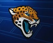 NFL Employee Steals $22 Million: A Shocking Developing Story from jaguar drama