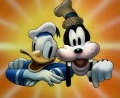 Donald Duck - Billposters - 1940 Disney Toon from toon ass