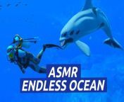 Endless Ocean Luminous — Sounds of the Sea — Nintendo Switch from luminous