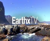 EarthX Website: https://earthxmedia.com/ &#60;br/&#62;&#60;br/&#62;Young conservationist Brooke Carter learns about what it takes to protect animals and the planet. Watch as she learns from conservation experts and travels the world on unimagined adventures!&#60;br/&#62;&#60;br/&#62;EarthX&#60;br/&#62;Love Our Planet. &#60;br/&#62;The Official Network of Earth Day.&#60;br/&#62; &#60;br/&#62;&#60;br/&#62;About Us: &#60;br/&#62;At EarthX, we believe our planet is a pretty special place. The people, landscapes, and critters are likely unique to the entire universe, so we consider ourselves lucky to be here. We are committed to protecting the environment by inspiring conservation and sustainability, and our programming along with our range of expert hosts support this mission. We’re glad you’re with us. &#60;br/&#62;&#60;br/&#62;EarthX is a media company dedicated to inspiring people to care about the planet. We take an omni channel approach to reach audiences of every age through its robust 24/7 linear channel distributed across cable and FAST outlets, along with dynamic, solution oriented short form content on social and digital platforms. EarthX is home to original series, documentaries and snackable content that offer sustainable solutions to environmental challenges. EarthX is the only network that delivers entertaining and inspiring topics that impact and inspire our lives on climate and sustainability. &#60;br/&#62;&#60;br/&#62;EarthX Website: https://earthxmedia.com/ &#60;br/&#62;&#60;br/&#62;Follow Us: &#60;br/&#62;Instagram: https://www.instagram.com/earthxtv/ &#60;br/&#62;LinkedIn: https://www.linkedin.com/company/earthxtv &#60;br/&#62;Facebook: https://www.facebook.com/earthxtv &#60;br/&#62;&#60;br/&#62;How to watch:  &#60;br/&#62;&#60;br/&#62;United States:&#60;br/&#62;Spectrum &#60;br/&#62;AT&amp;T U-verse (1267) &#60;br/&#62;DIRECTV (267) &#60;br/&#62;Philo &#60;br/&#62;FuboTV &#60;br/&#62;Plex &#60;br/&#62; &#60;br/&#62;&#60;br/&#62;United Kingdom &amp; Ireland:&#60;br/&#62;Sky (180) &#60;br/&#62;Freeview (79) &#60;br/&#62; &#60;br/&#62;&#60;br/&#62;Europe: M7 &#60;br/&#62;&#60;br/&#62;Mexico: Claro &amp; Totalplay &#60;br/&#62;    &#60;br/&#62;#EarthDay #Environment #Sustainability #Eco-friendly #Conservation #EarthxTV #EarthX