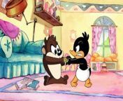 Baby Looney Tunes - School Daze Mary Had a Baby Duck Things That Go Bugs in The Night (in 169 and 1080p) from baby looney tunes 1a temporada ep 01 taz n