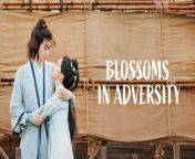 Blossoms in Adversity - Episode 30 (EngSub)