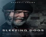 Sleeping Dogs is an American crime mystery thriller film directed by Adam Cooper in his feature-length directorial debut from a screenplay adapted by Cooper and Bill Collage from the 2017 novel The Book of Mirrors by E.O. Chirovici, and starring Russell Crowe and Karen Gillan.