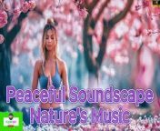 Healing Harmony: Music to Restore Heart, Nerves, and Soul - Live Relaxing Broadcast Calming Music, Stress Relief, Anxiety Relief, &#60;br/&#62;Relaxation And Meditation Music, &#60;br/&#62;&#60;br/&#62;&#60;br/&#62;Step into the healing embrace of &#92;