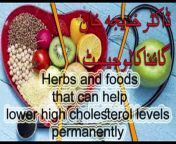 Herbs and foods that can help lower high cholesterol levels permanently &#60;br/&#62;10 Natural Ways to Lower Your Cholesterol Levels&#60;br/&#62;&#60;br/&#62;Bone Health: Due to these reasons, there is severe pain in the hip while sitting continuously, know how to get relief.&#60;br/&#62;Hip pain can be caused by muscle strain, inflammation, arthritis. To get rid of this, doing some exercises will provide great relief from the pain.&#60;br/&#62;Bone Health: Due to these reasons, there is severe pain in the hip while sitting continuously, know how to get relief.&#60;br/&#62;&#60;br/&#62;******************************&#60;br/&#62;http://nafsiyat.kesug.com/&#60;br/&#62;https://nafsiyats.blogspot.com/&#60;br/&#62;https://www.facebook.com/drInayatullahus&#60;br/&#62;https://www.instagram.com/drinayatullahus/ &#60;br/&#62;&#60;br/&#62;******************************&#60;br/&#62;how to lower cholesterol, &#60;br/&#62;cholesterol, &#60;br/&#62;foods that lower cholesterol, &#60;br/&#62;lower cholesterol, &#60;br/&#62;high cholesterol, &#60;br/&#62;cholesterol lowering foods, &#60;br/&#62;lower bad cholesterol naturally, &#60;br/&#62;lower cholesterol naturally,&#60;br/&#62;how to lower cholesterol naturally, &#60;br/&#62;foods to lower cholesterol, &#60;br/&#62;how to lower ldl cholesterol, &#60;br/&#62;low cholesterol foods, &#60;br/&#62;lower cholesterol levels, &#60;br/&#62;high cholesterol foods, &#60;br/&#62;foods that help lower bad cholesterol, &#60;br/&#62;how to reduce cholesterol, &#60;br/&#62;drinks to lower cholesterol naturally,