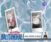 Relax sa batya ang asong si Max!&#60;br/&#62;&#60;br/&#62;&#60;br/&#62;Balitanghali is the daily noontime newscast of GTV anchored by Raffy Tima and Connie Sison. It airs Mondays to Fridays at 10:30 AM (PHL Time). For more videos from Balitanghali, visit http://www.gmanews.tv/balitanghali.&#60;br/&#62;&#60;br/&#62;#GMAIntegratedNews #KapusoStream&#60;br/&#62;&#60;br/&#62;Breaking news and stories from the Philippines and abroad:&#60;br/&#62;GMA Integrated News Portal: http://www.gmanews.tv&#60;br/&#62;Facebook: http://www.facebook.com/gmanews&#60;br/&#62;TikTok: https://www.tiktok.com/@gmanews&#60;br/&#62;Twitter: http://www.twitter.com/gmanews&#60;br/&#62;Instagram: http://www.instagram.com/gmanews&#60;br/&#62;&#60;br/&#62;GMA Network Kapuso programs on GMA Pinoy TV: https://gmapinoytv.com/subscribe